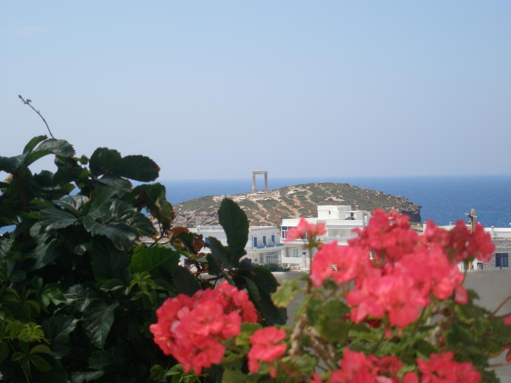 Chateau Zevgoli Naxos City Dış mekan fotoğraf